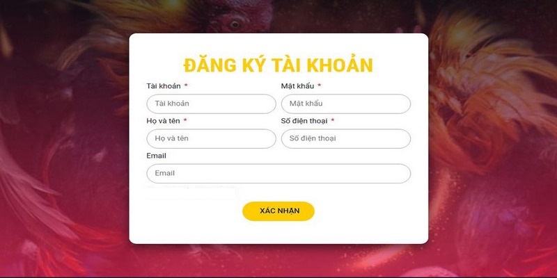 Chi tiết nội dung điều khoản dịch vụ PG88