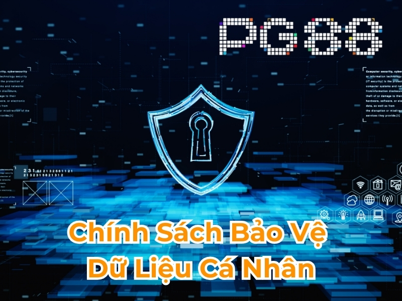 Chính sách bảo vệ dữ liệu cá nhân